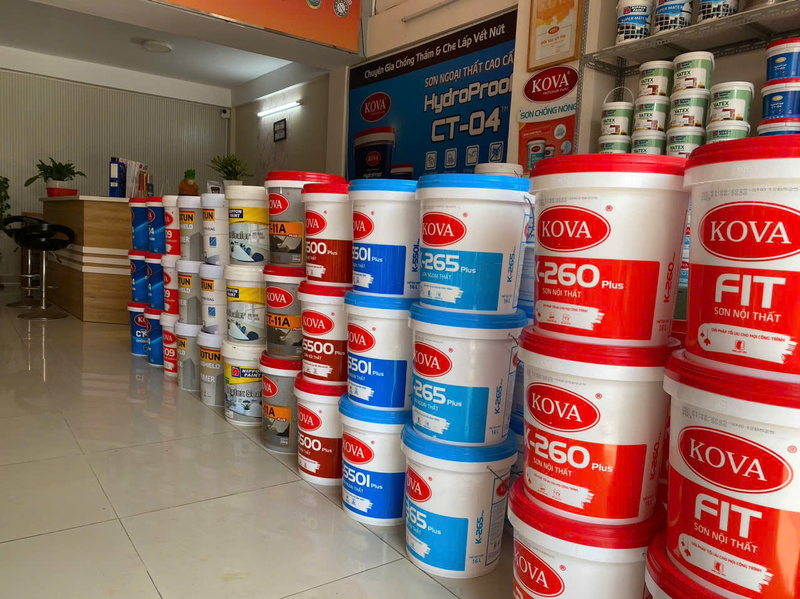 Hình ảnh công ty Đông Nam Việt